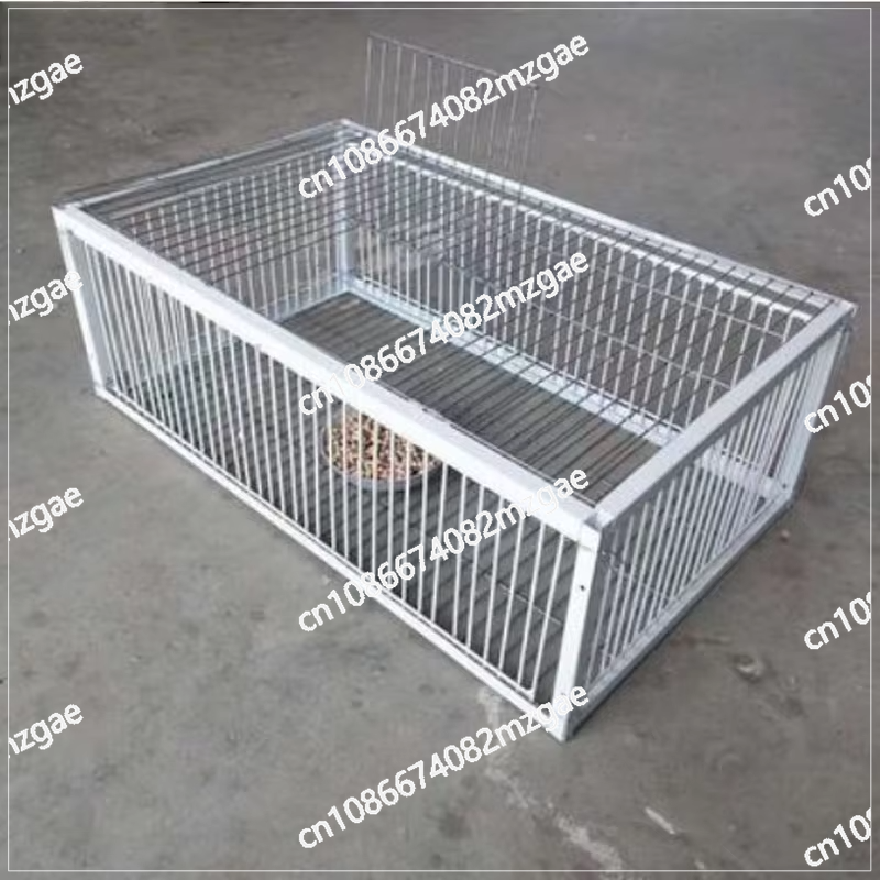 Professional Multifunctional B - đánh giá và giá Urban Farming Urban Gardening